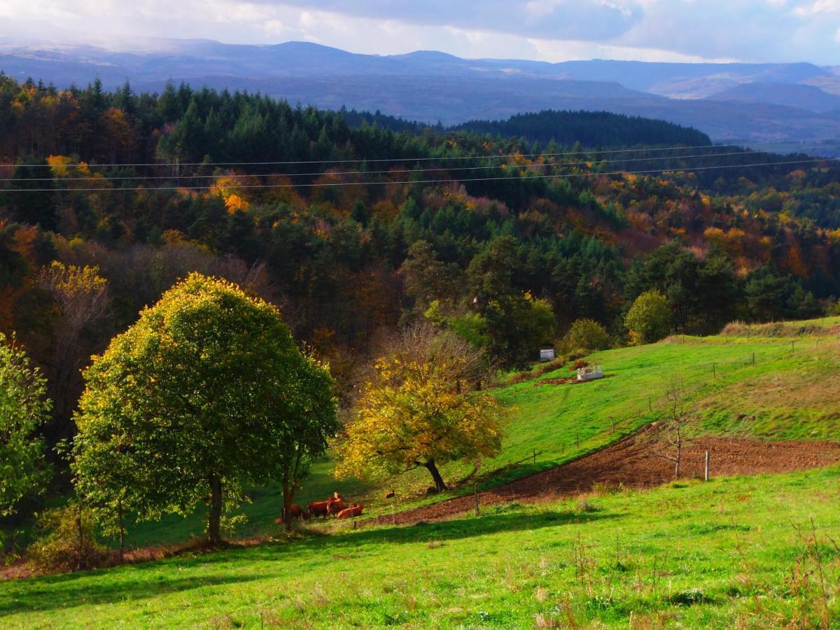Le Vallon D'Armandine, Gite Ecologique Auvergne Saint-Hilaire  Ngoại thất bức ảnh