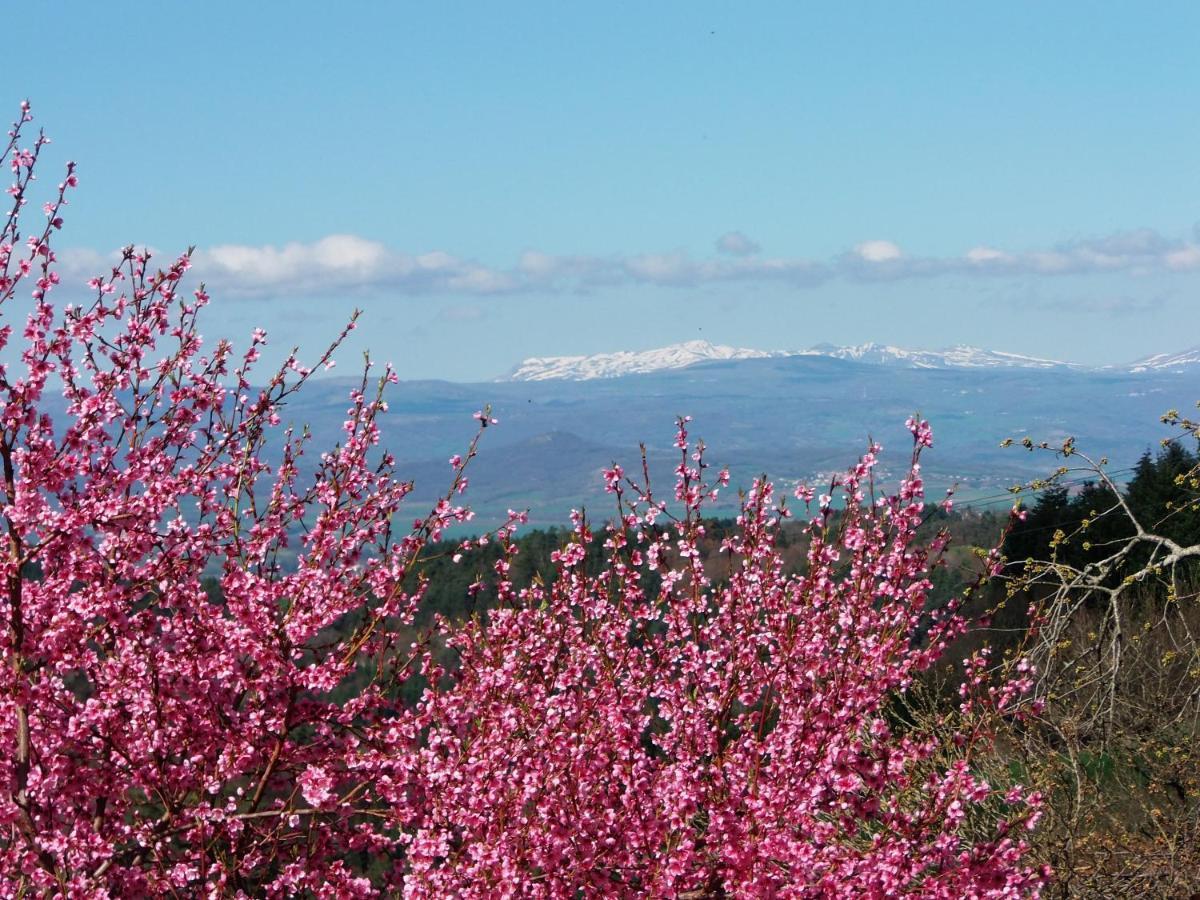 Le Vallon D'Armandine, Gite Ecologique Auvergne Saint-Hilaire  Ngoại thất bức ảnh